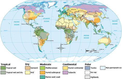 Climate Map - World