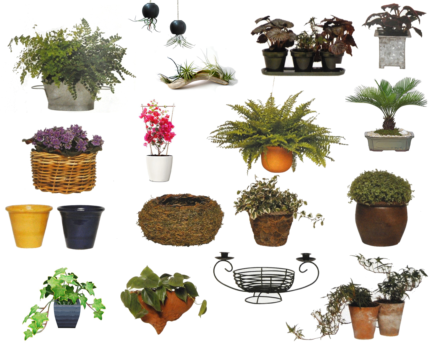 Plant Pot Sizes Chart Uk