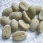 Coffea arabica - seed